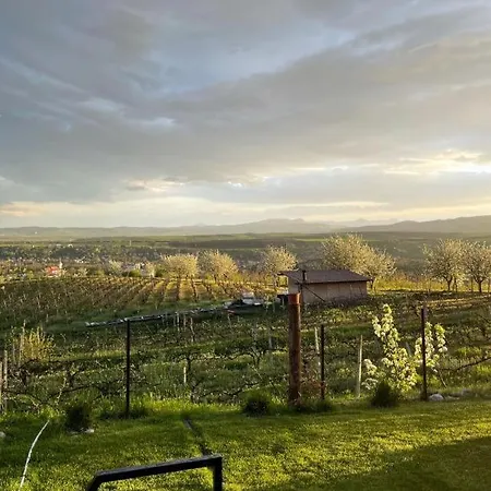 Caravans Park & Glamping Tents In The Vineyard Turda