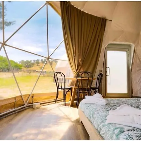 Caravans Park & Glamping Tents In The Vineyard Farm stay *